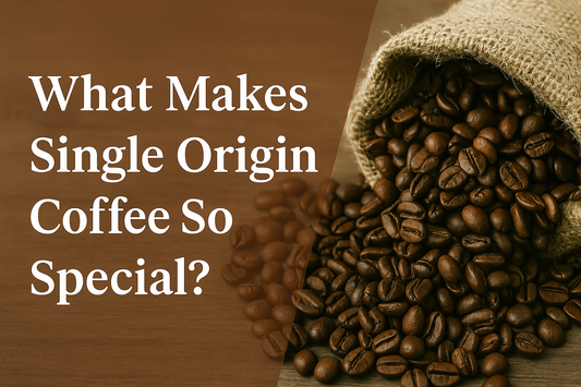 Illustration highlighting the uniqueness of single origin coffee, featuring coffee beans, location markers, and the text “What Makes Single Origin Coffee So Special?”