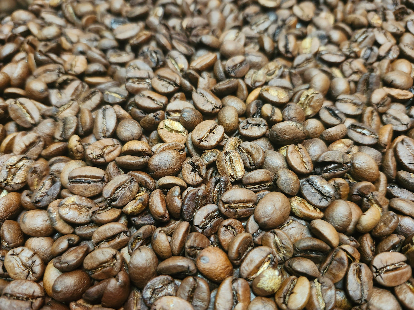 Close-up of roasted Brazil Bob-O-Link coffee beans from Five Star Coffee, featuring a medium roast profile with notes of maple, blueberries, and a smooth, full body.