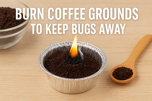 A small metal container filled with burning coffee grounds, releasing smoke to repel bugs. A wooden spoon and a glass bowl with extra grounds sit nearby, with bold text above that reads "Burn Coffee Grounds to Keep Bugs Away.