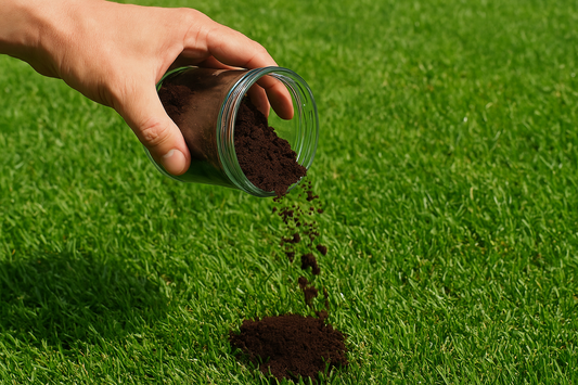 A hand sprinkling used coffee grounds from a glass jar onto a green lawn, illustrating how to reuse coffee grounds as natural fertilizer.