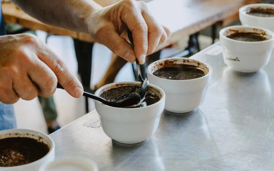 The Process of Cupping Coffee