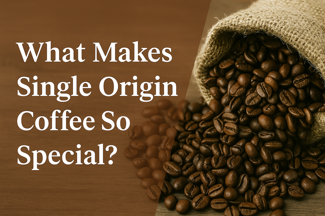 Illustration highlighting the uniqueness of single origin coffee, featuring coffee beans, location markers, and the text “What Makes Single Origin Coffee So Special?”