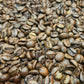 Close-up of roasted Brazil Bob-O-Link coffee beans from Five Star Coffee, featuring a medium roast profile with notes of maple, blueberries, and a smooth, full body.