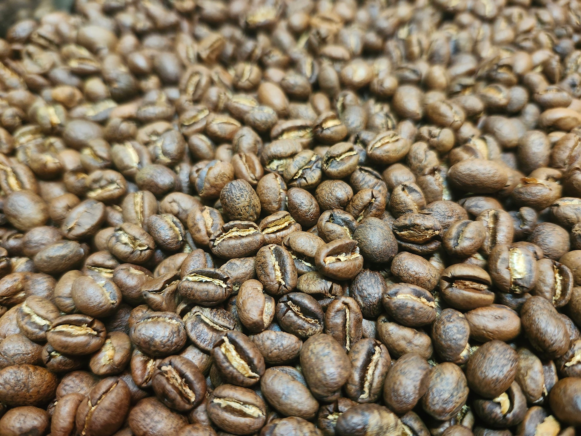 lose-up of roasted Tanzania Peaberry coffee beans from Five Star Coffee, featuring small, round single-origin beans with a bright, fruity flavor profile.